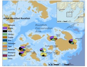 Fig3_2017RockfishNov15 copy